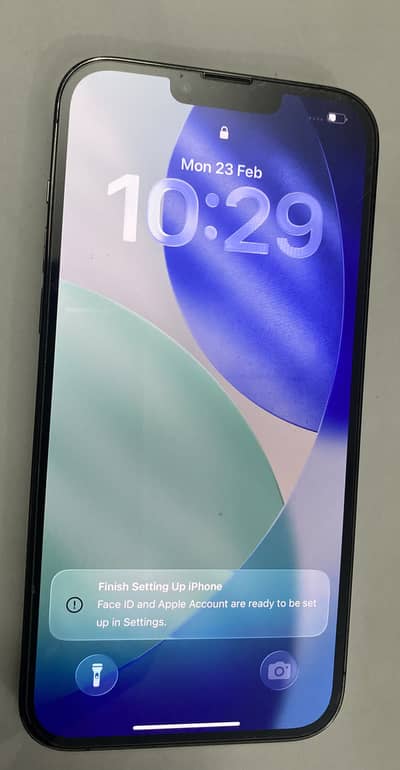 Apple iPhone 13 Pro Max