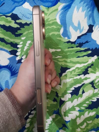 16promax Desert Tiatanium Hk model dual physical