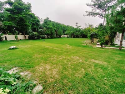 53 Acre Land Best For Farm House Facing Canal For Sale