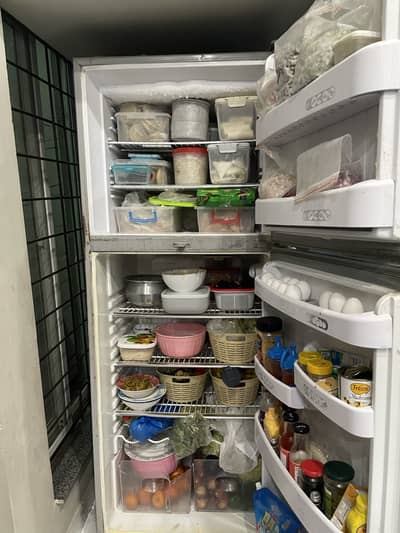 Orient Refrigerator Large Size