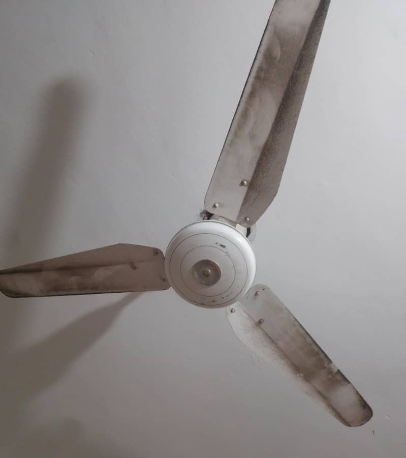 2 ceiling Fan 1