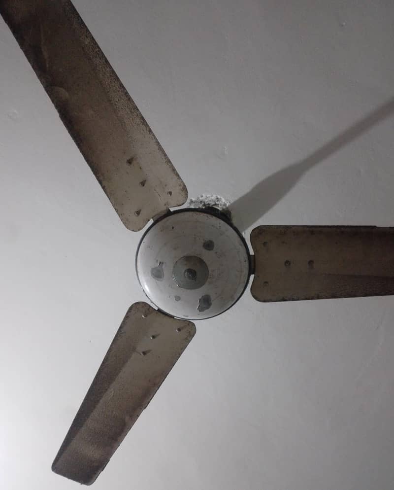 2 ceiling Fan 2