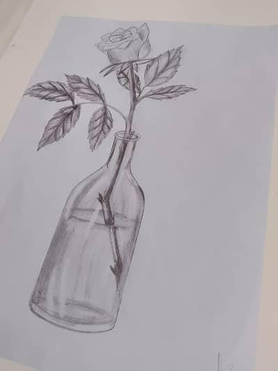 sketche of flower pot