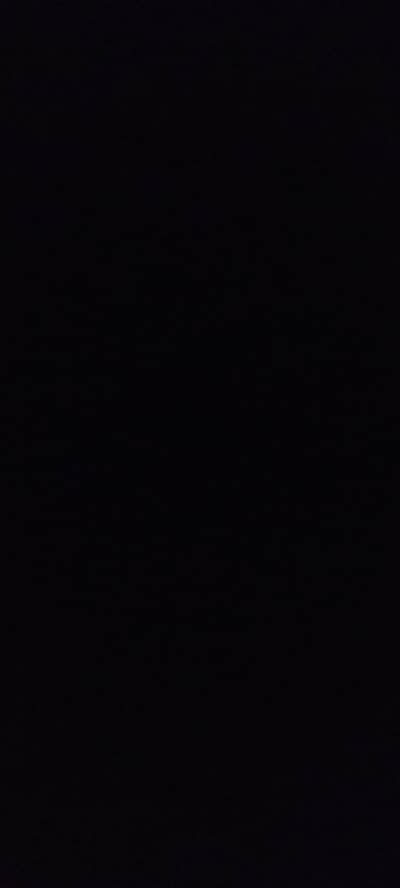 need a good looking female staff