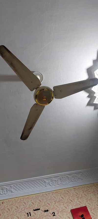 celling fan for sale