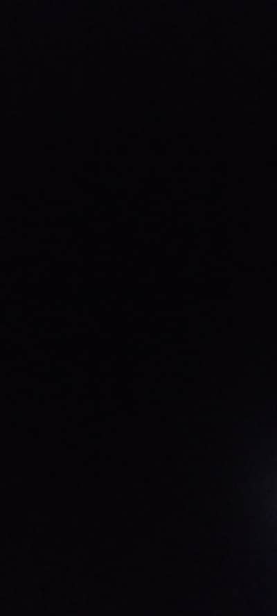 need a good looking female staff