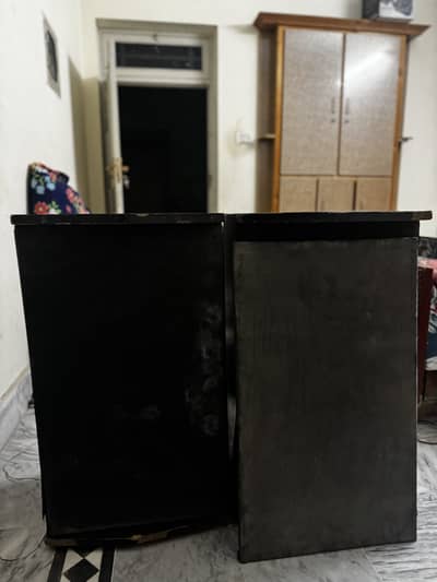 Desi Speaker Full Bass boosted 10inch speaker