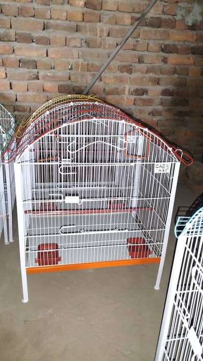 Qadri bird cage and aseel tokra mekar