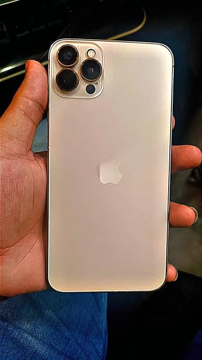 Xs max converted 12 pro max