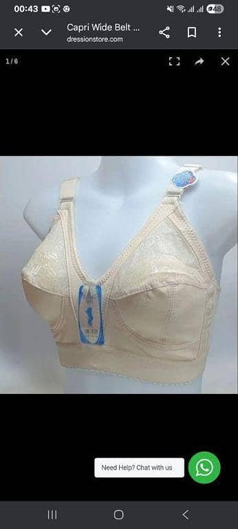 Capri Wide Belt  - Half Cup Fancy Net