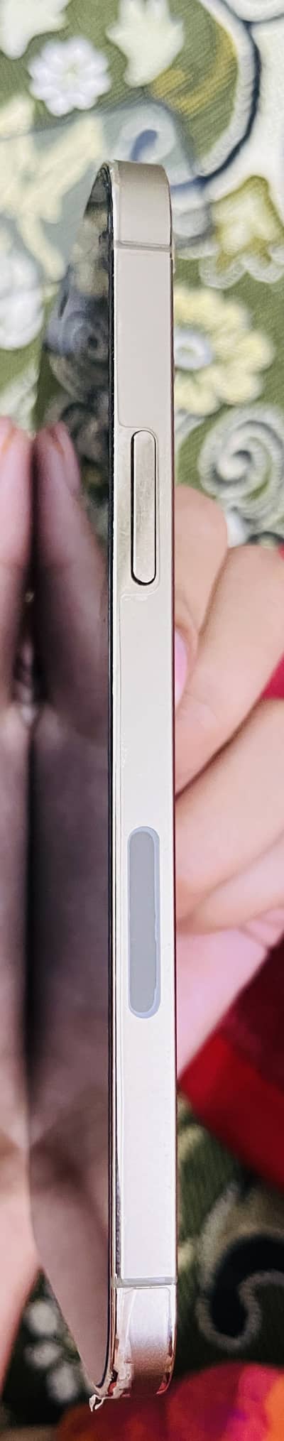 Iphone 12 pro gold colour
