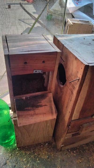 pora set ha ak pice b mil jaye ga  contact +03201450032