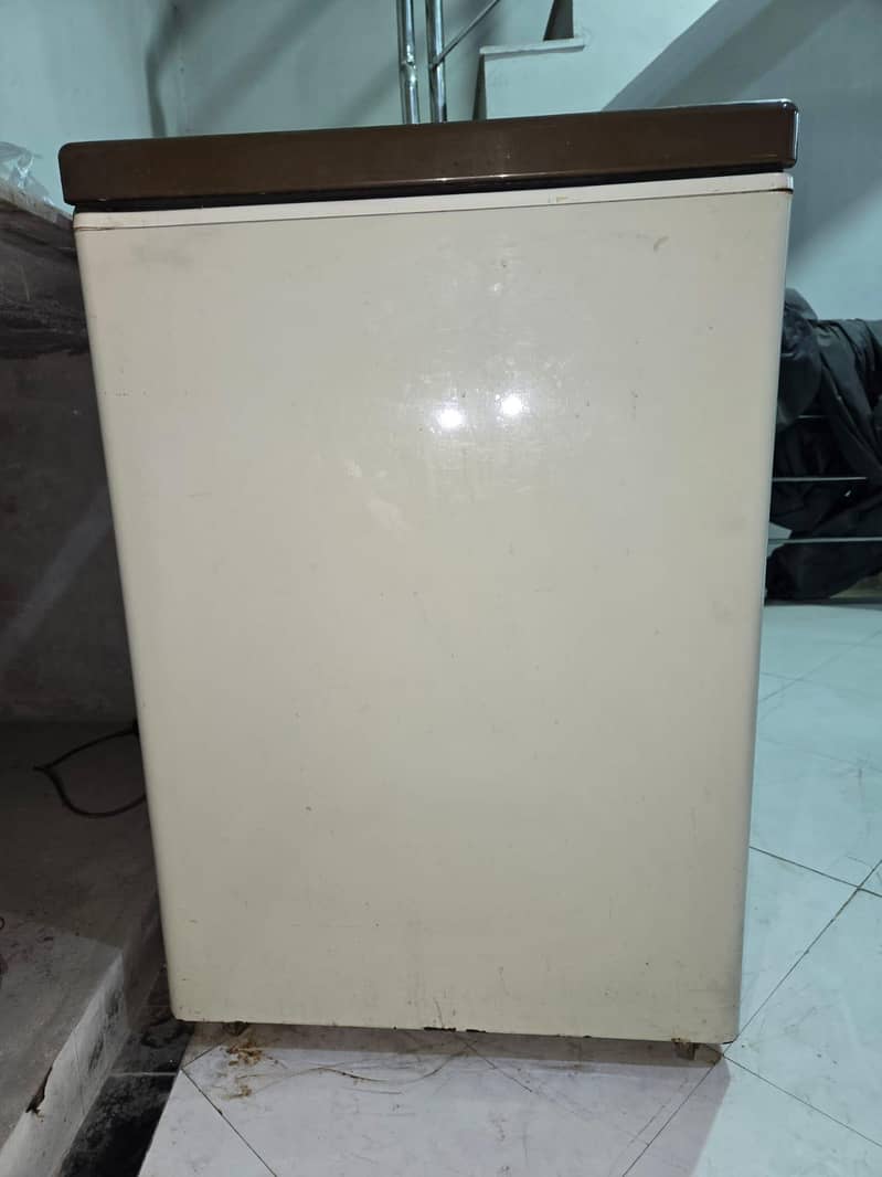 Pel Deep Freezer 1