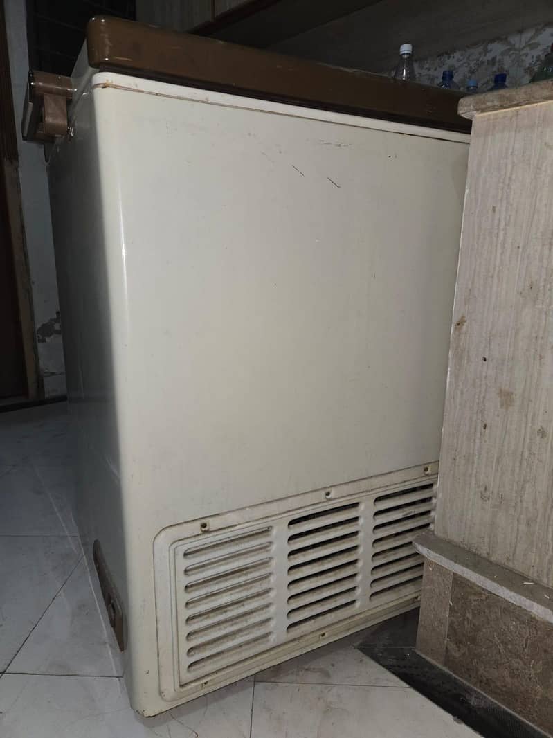 Pel Deep Freezer 2