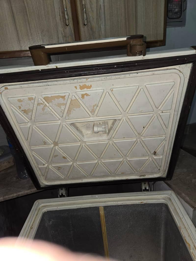 Pel Deep Freezer 3