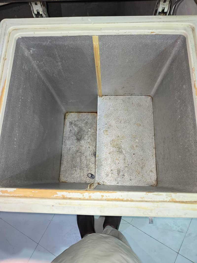 Pel Deep Freezer 4