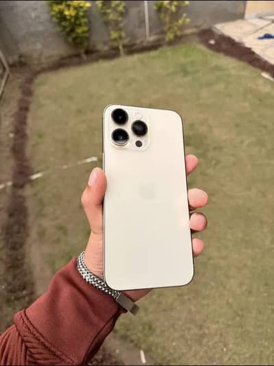 14 pro Max Pta Approved