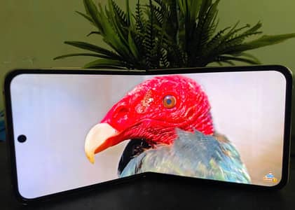 Samsung Galaxy Z Flip { 512GB, 8GB RAM }  Excellent Condition Like New