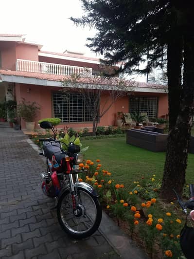 Honda 2019 model  Islamabad