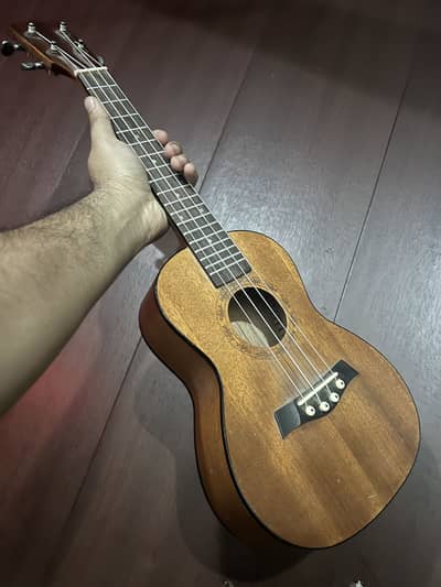 ukulele instrument with bag