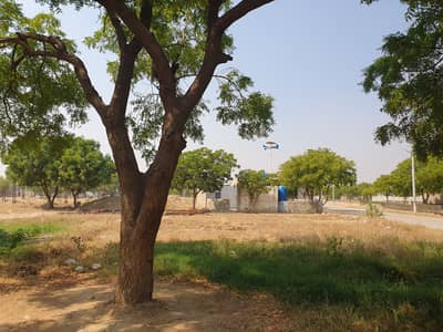 Single belt 400sqyrd plot for sale in Garden ciry B block chanfe deal for investors