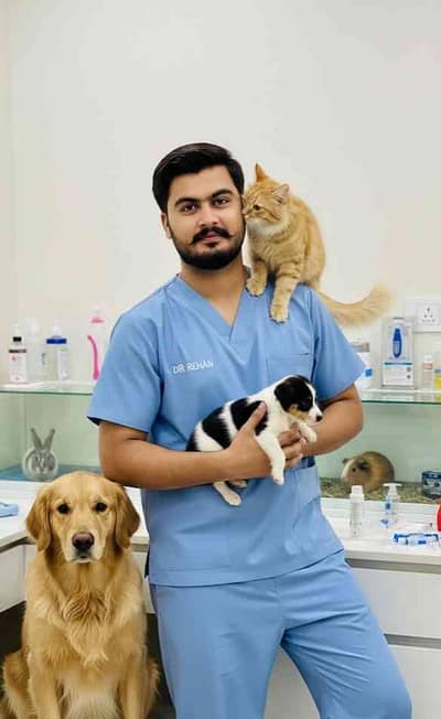 Dr Muhammad Rehan 