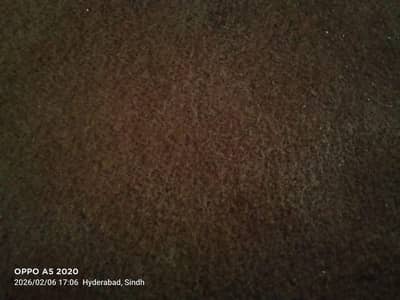 sofas centre table and room carpets