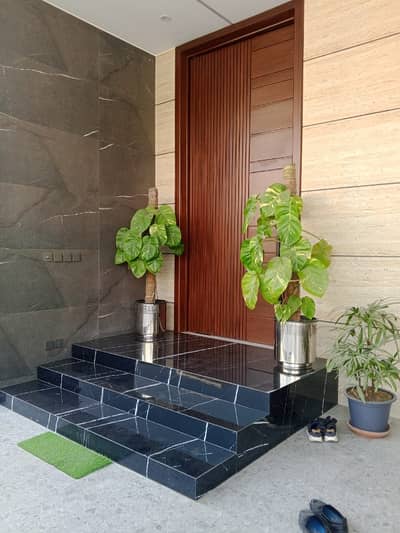 1 Kanal Brand New Double Storey House For Rent In Dha Phase 2