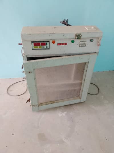 incubator 100 eggs