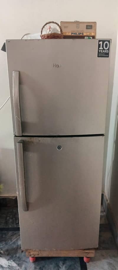Haier Refrigerator Medium Size