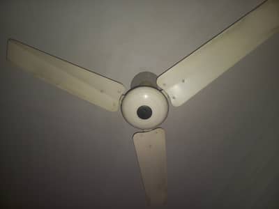 Ceiling Fans for Sale