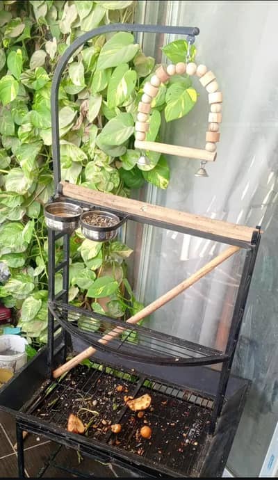 PLAYING STAND FOR GREY n ALEXANDRATE Parrot