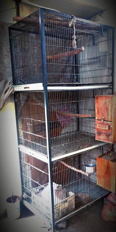 2cages for sale African Gray