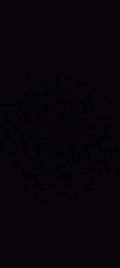 need a good looking female staff