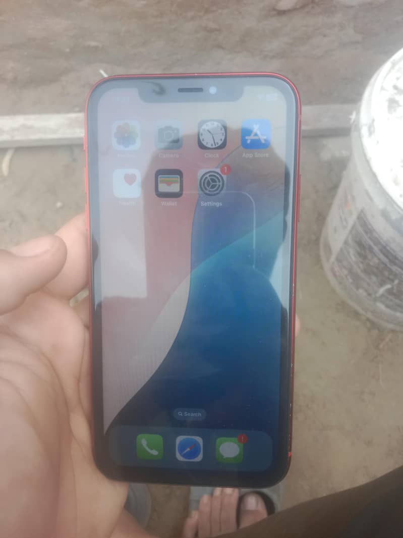 iphone XR 6