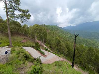 Plot For Sale In Green View Hill Top Farms Patriata( New Murree)