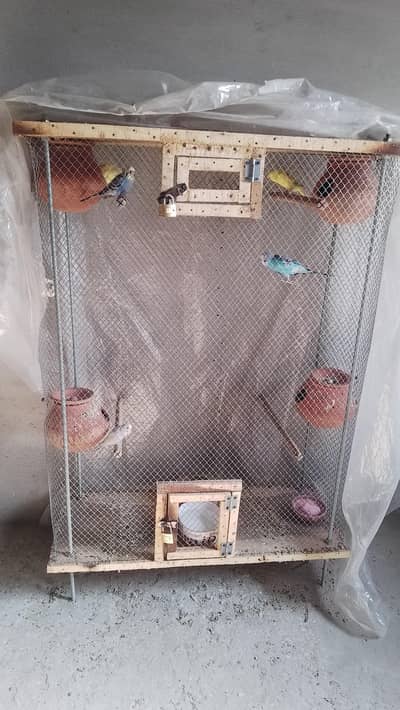 bird cage