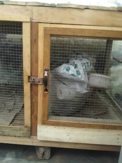 Hen Cage Rs. 10000 03224376863