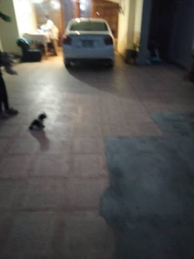 1 Kanal Old House Available For Sale In Cavalry Ground Lahore