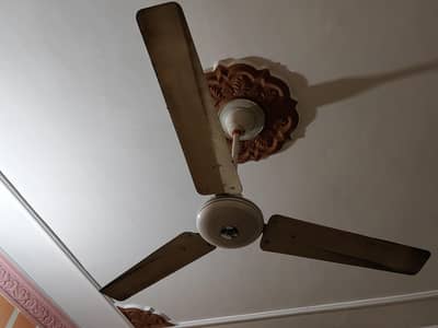 Ceiling Fan