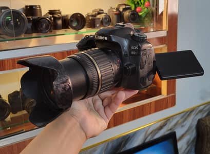 dslr Canon 80d (Tamron 17-50mm f2.8) (Professional Camera)