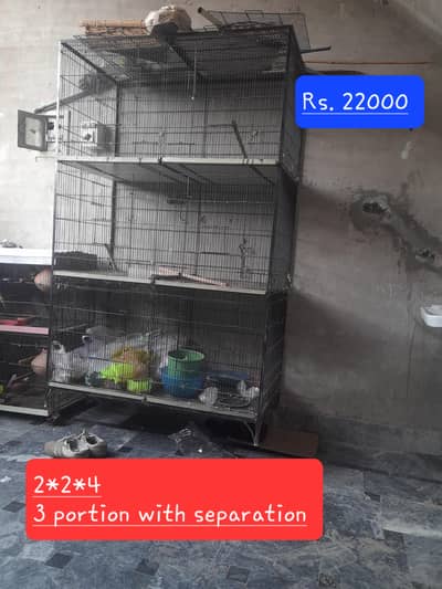 cages for parrots of all types