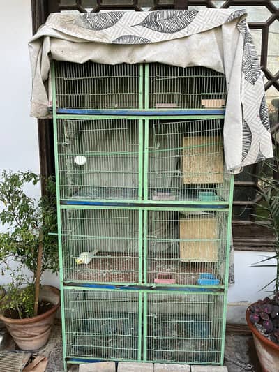  6 Portion Bird Cage + 2 Cockatiel Birds for Sale