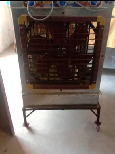 super asia room coloer