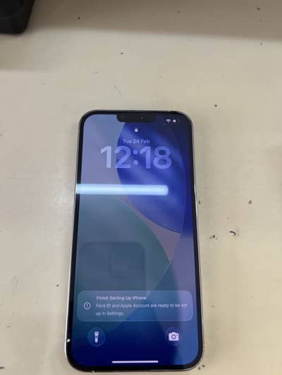 Apple iPhone 13 Pro Max