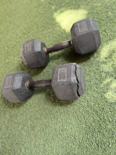 12.5 kg pair used dumbbell
