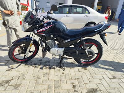 Yamaha ybr 125  mardan number