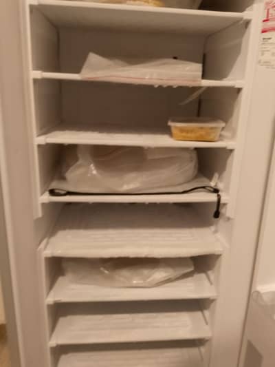 Sharp- Freezer-FR 195 8T TGL Capacity: 185 L