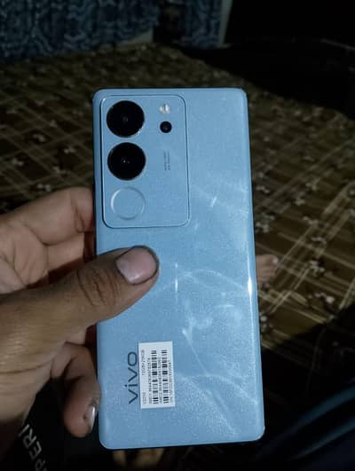 burewala 03297629489