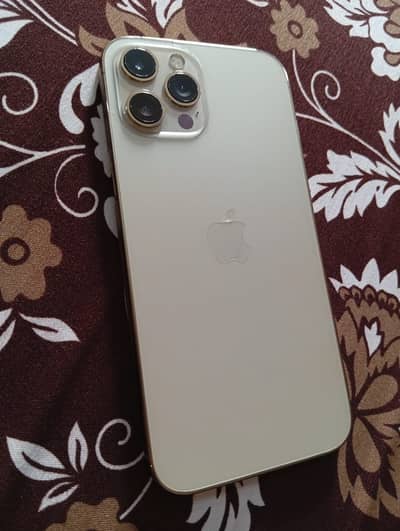 12 pro max golden color 10/10